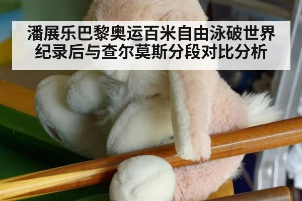 潘展乐巴黎奥运百米自由泳破世界纪录后与查尔莫斯分段对比分析